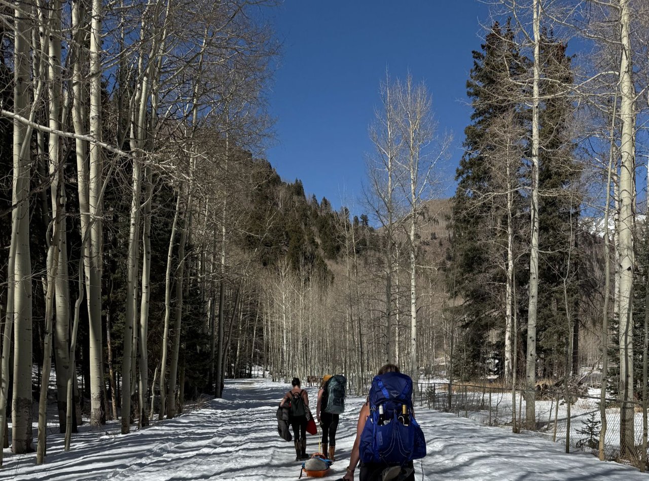 Three backpackers on a snowy forest trail lined with bare aspens and evergreens.