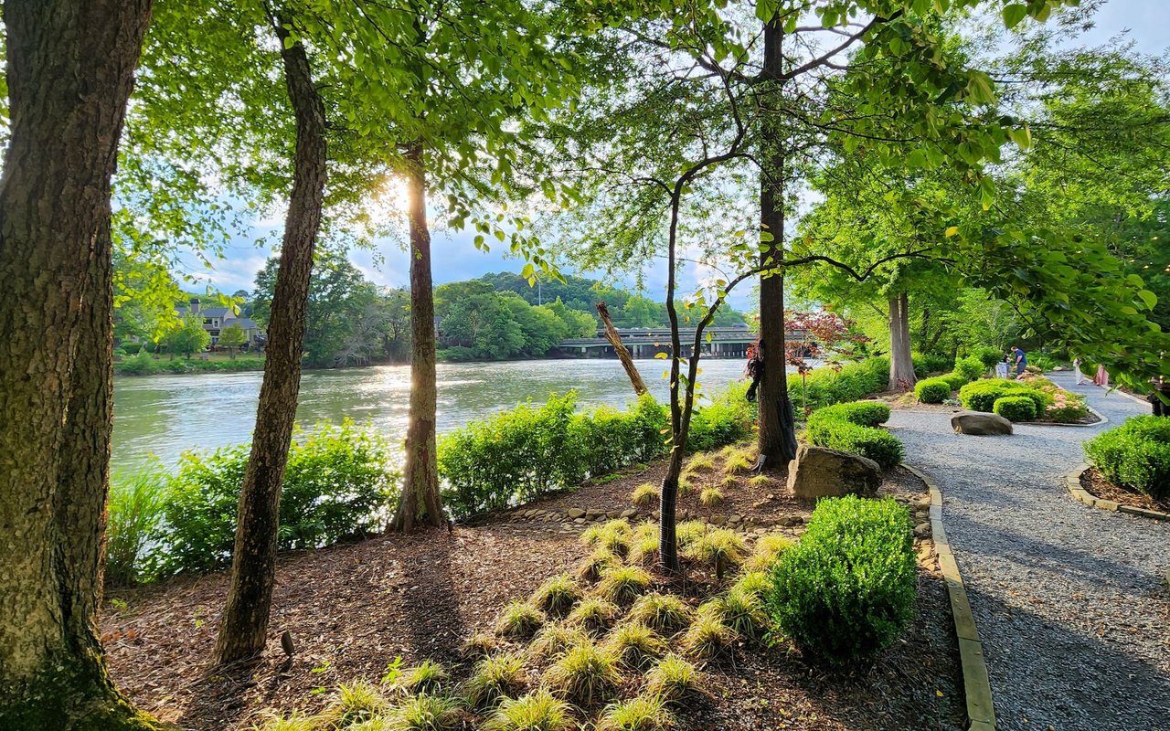 Riverside park path shaded by mature trees, with landscaped shrubs and a bridge across the water.