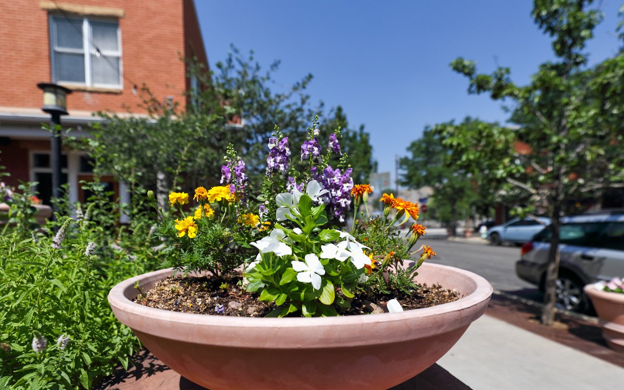 1517 Easy Rider Lane 101 & 102