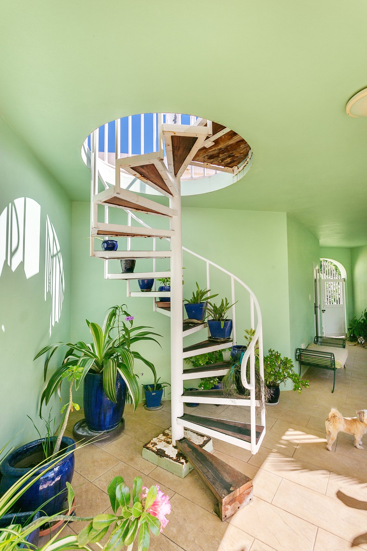 Octagon Villa West End