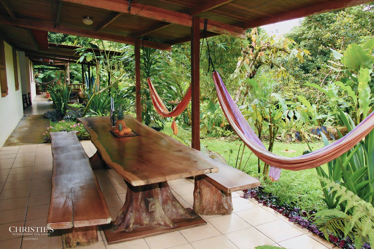Finca Isla Rainforest Retreat – A Rare Income-Producing Paradise