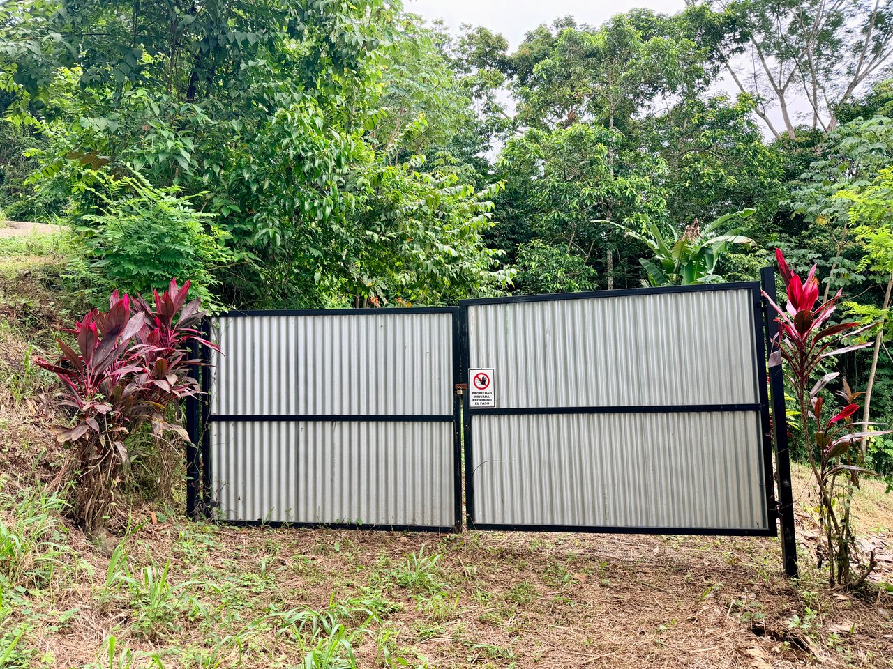 Tres Ríos Jungle Sanctuary | Ready-to-Build Lot Surrounded by Nature