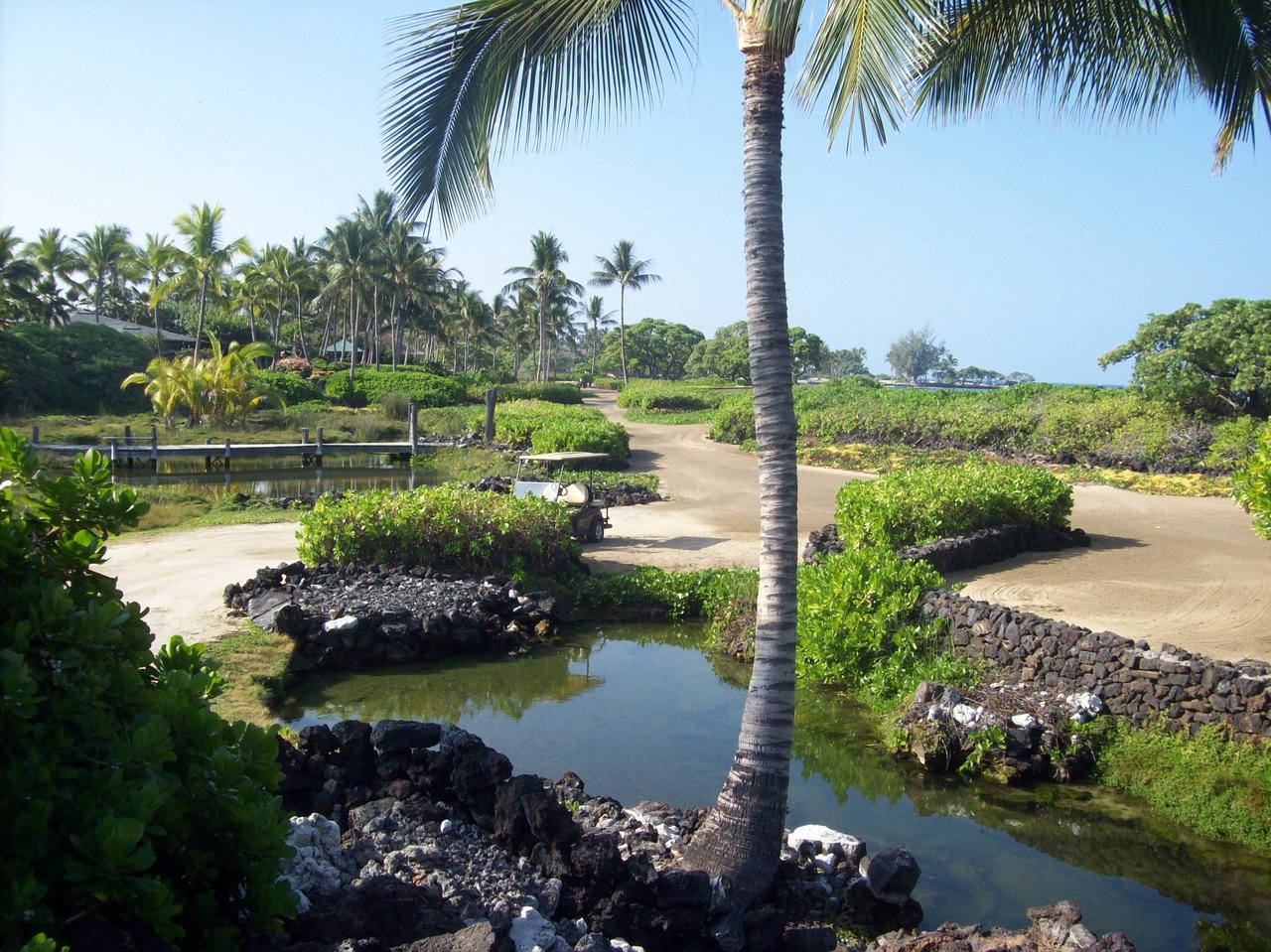 Kohala Coast Big Island