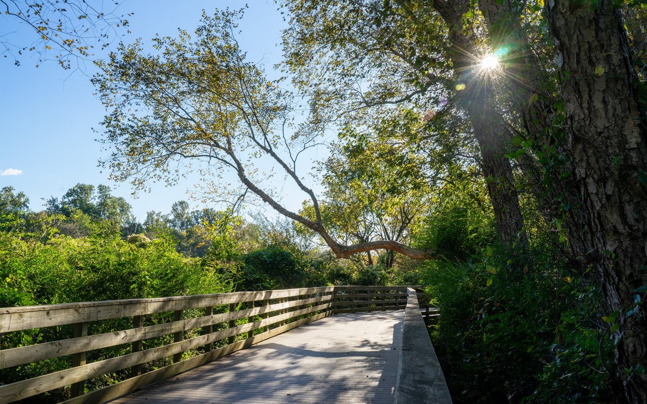 Nature Trail
