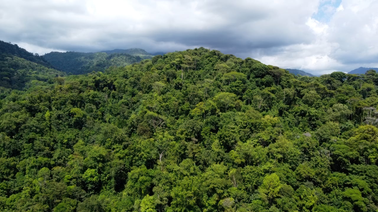 Conservation Only | $1 per Square Meter (61,77 acres)