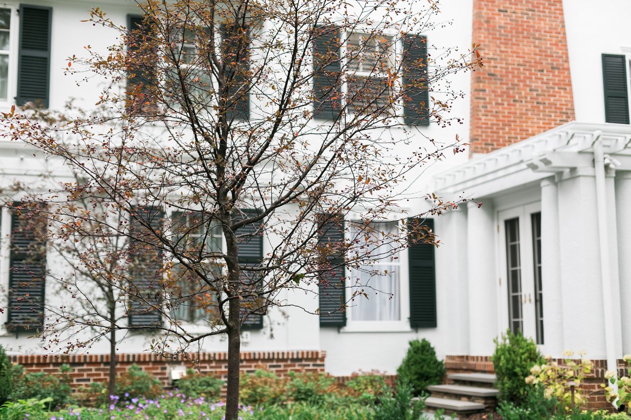 Madison Is Planting 1,000 Trees This Fall. Here’s What Homeowners Should Know
