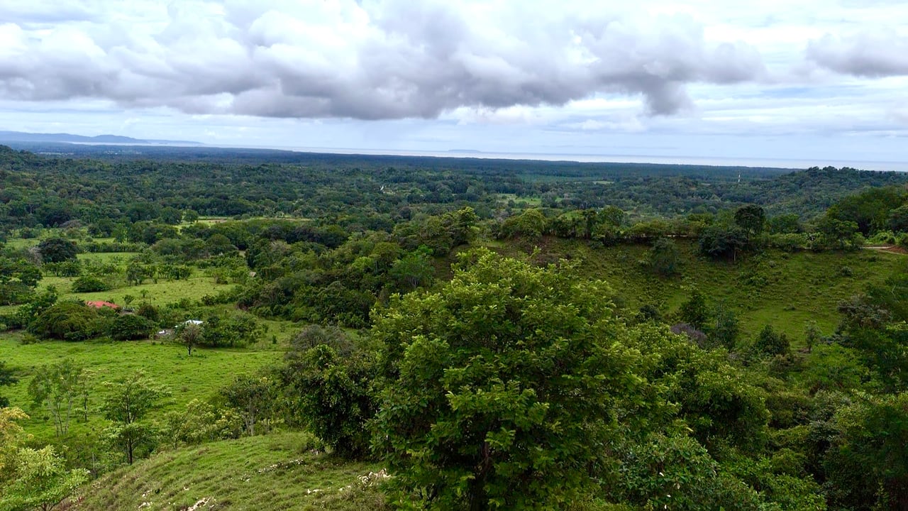 Ocean View Sanctuary in San Buenas – 4.94 Acres of Pastures & Easy Accessaccess