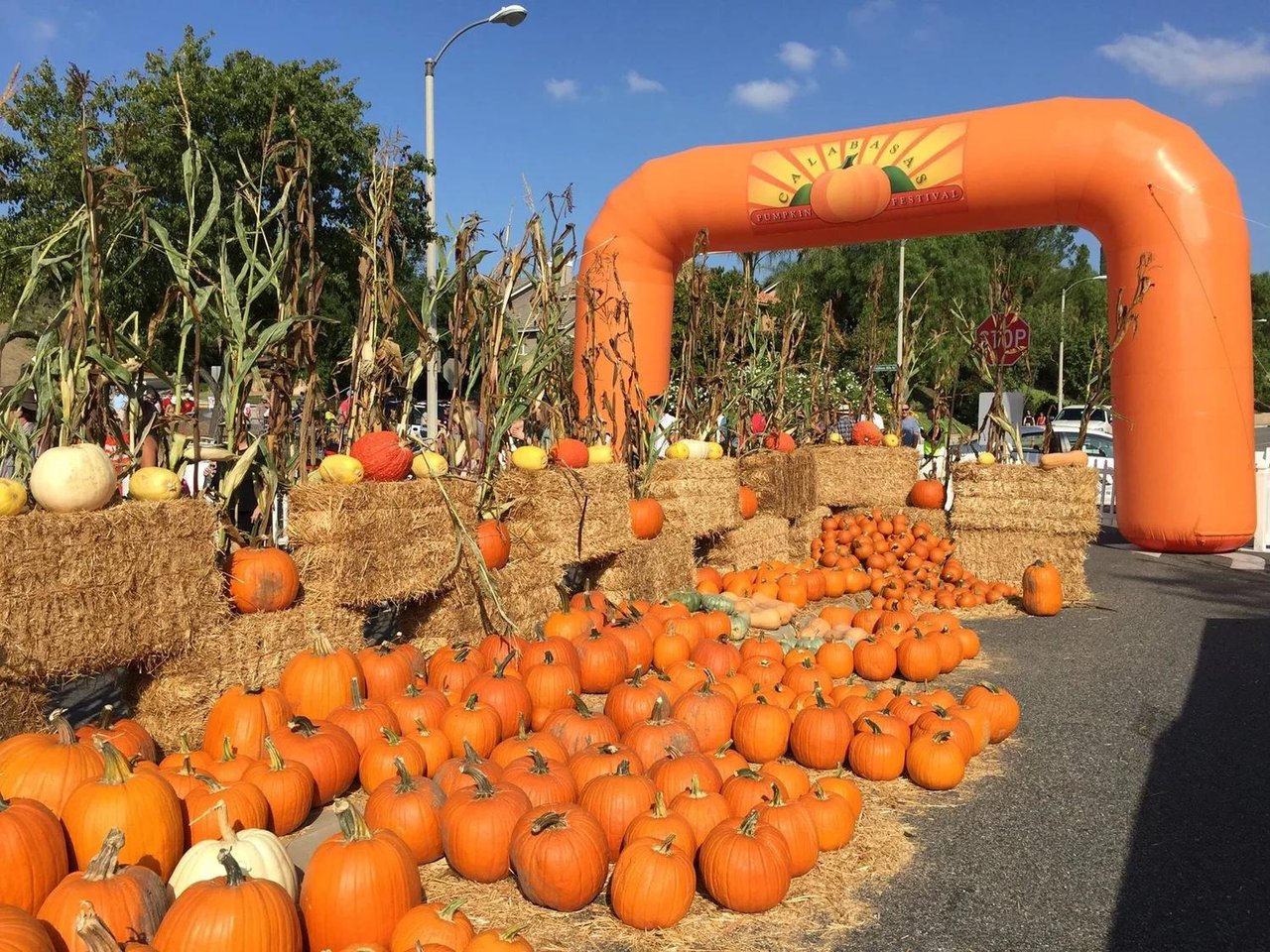 Calabasas Fall Events 2026: My Local Guide to the Pumpkin Festival, Chamber Events & Halloween cover
