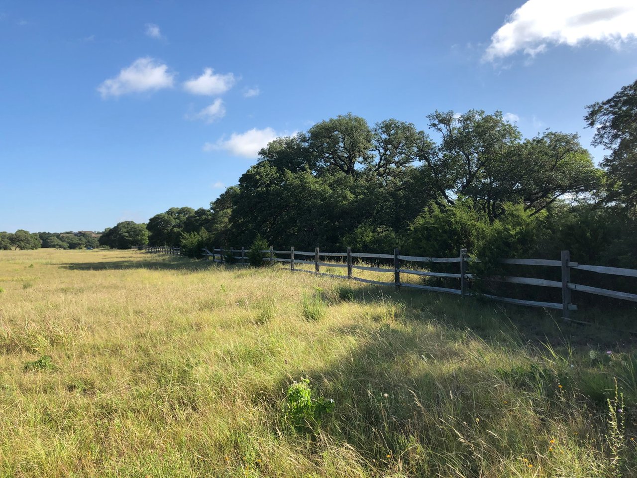 100 Dario Dr. Dripping Springs  Tx 78620