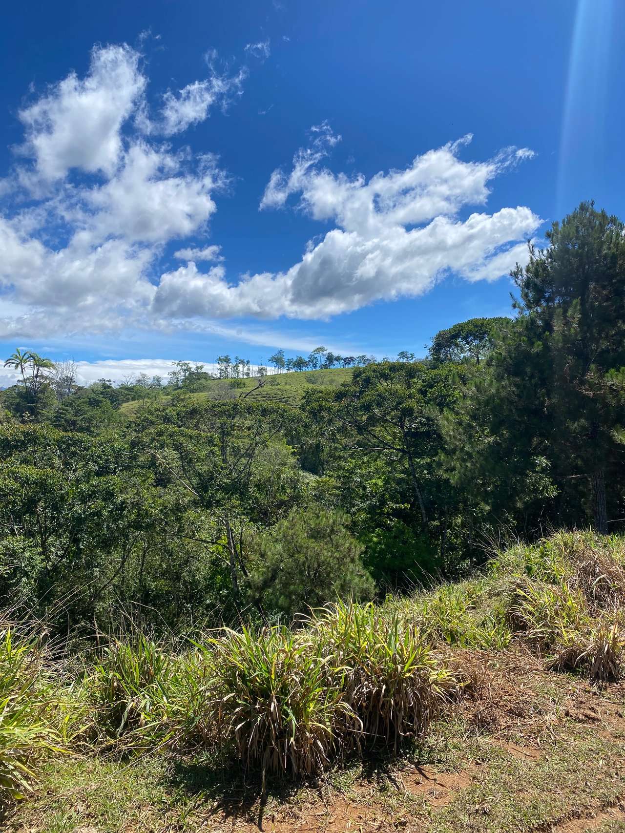 54 Acre Ranch in San Vito, Coto Brus