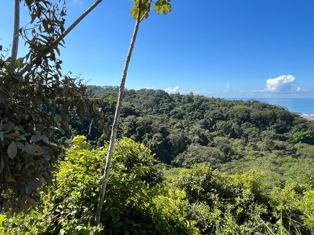 Cinematic Ocean&Mountain View Property In Vista Dominical Estate, Minutes From The Beach!