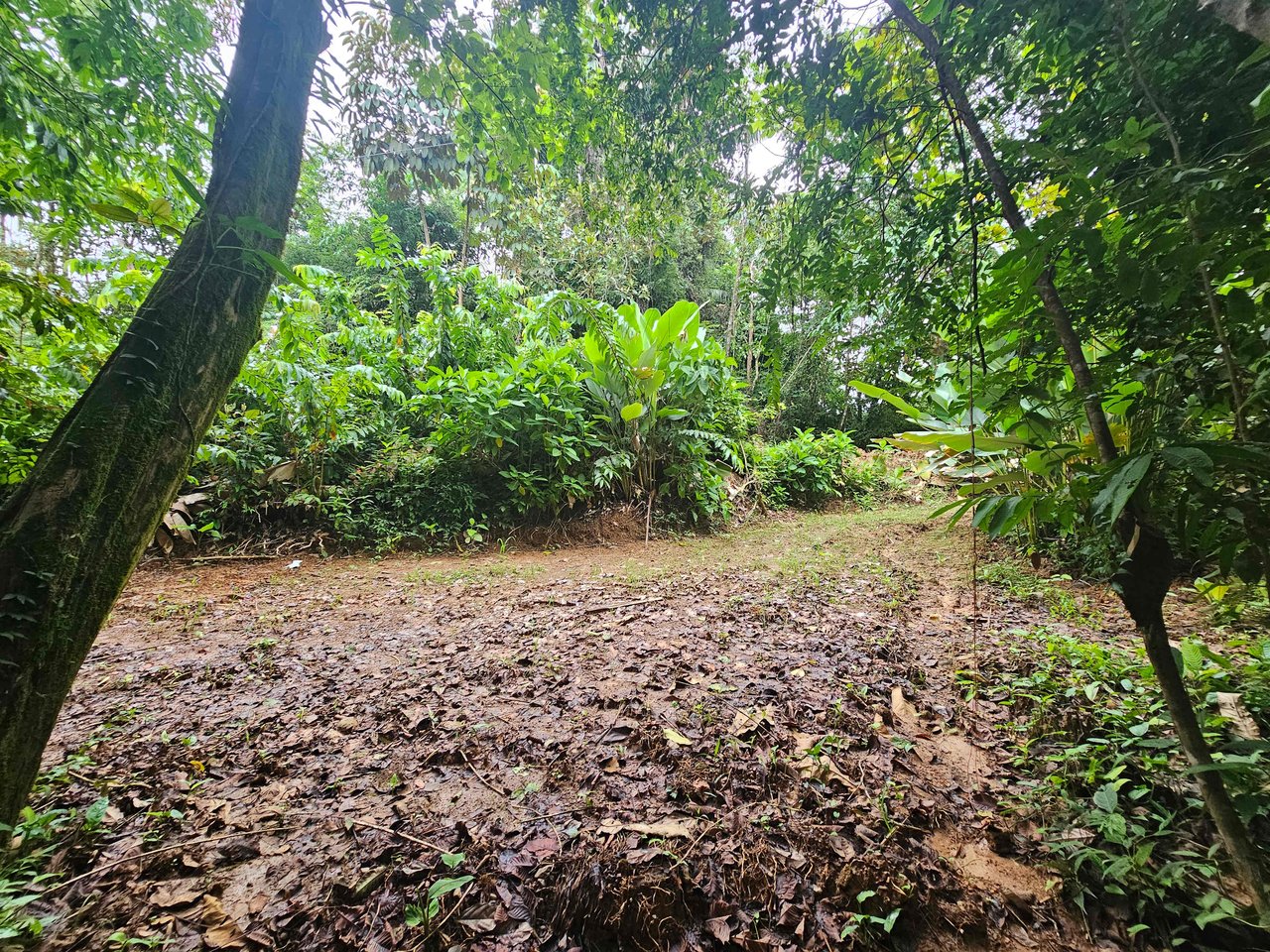 Discover Your Dream in Uvita's Prime Real Estate