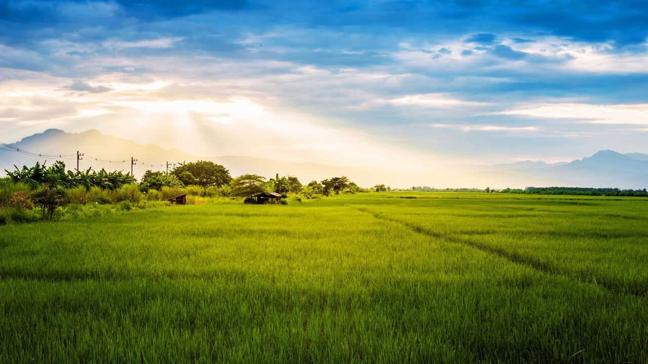 Realtor.com launches land price estimates as market lags