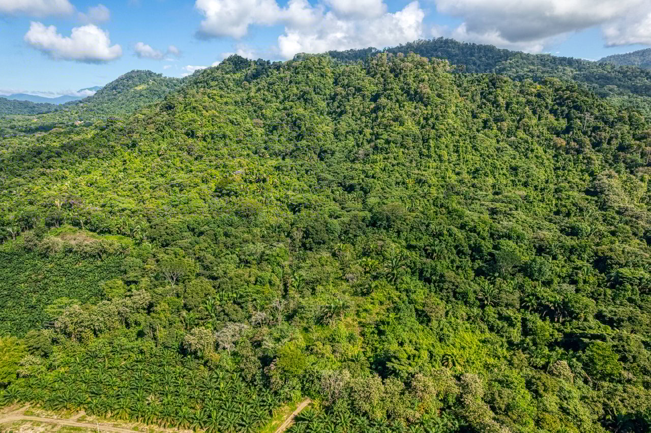 Ocean View Property in Portalon