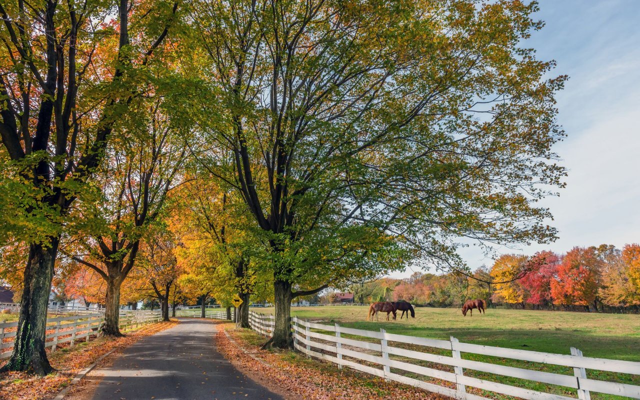 Harford County