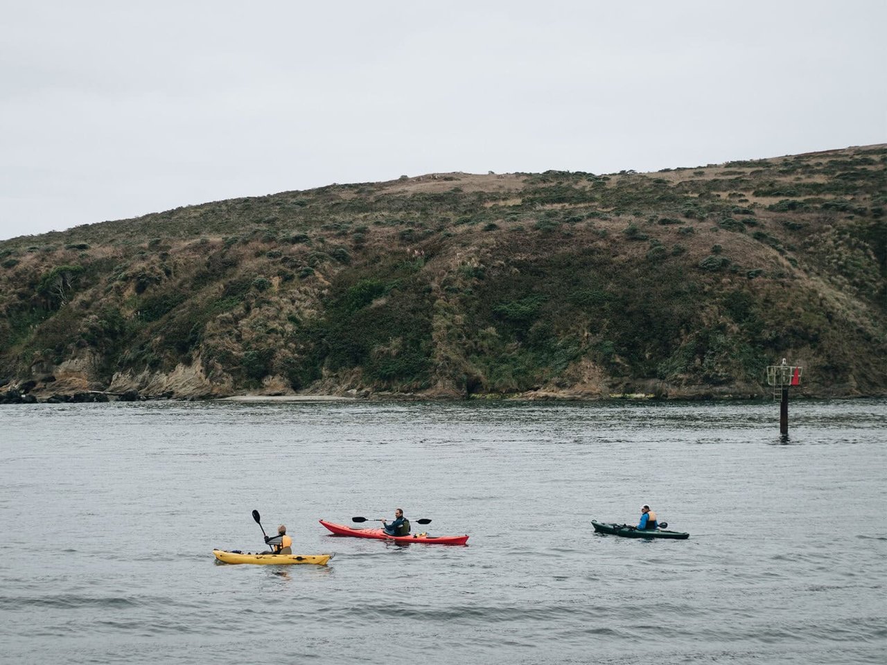 6 Fun Things to Do in Bodega Bay