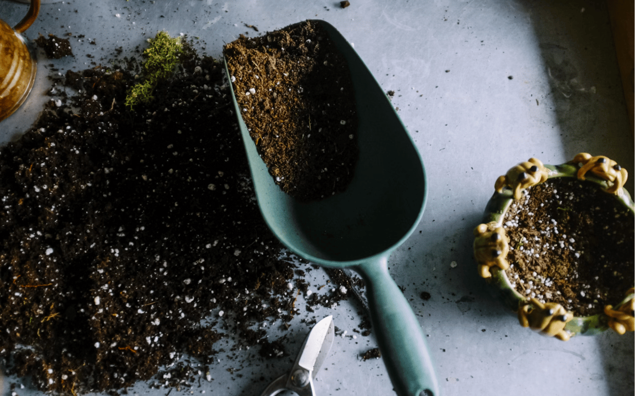 How to Boost Your Home's Curb Appeal in One Weekend cover