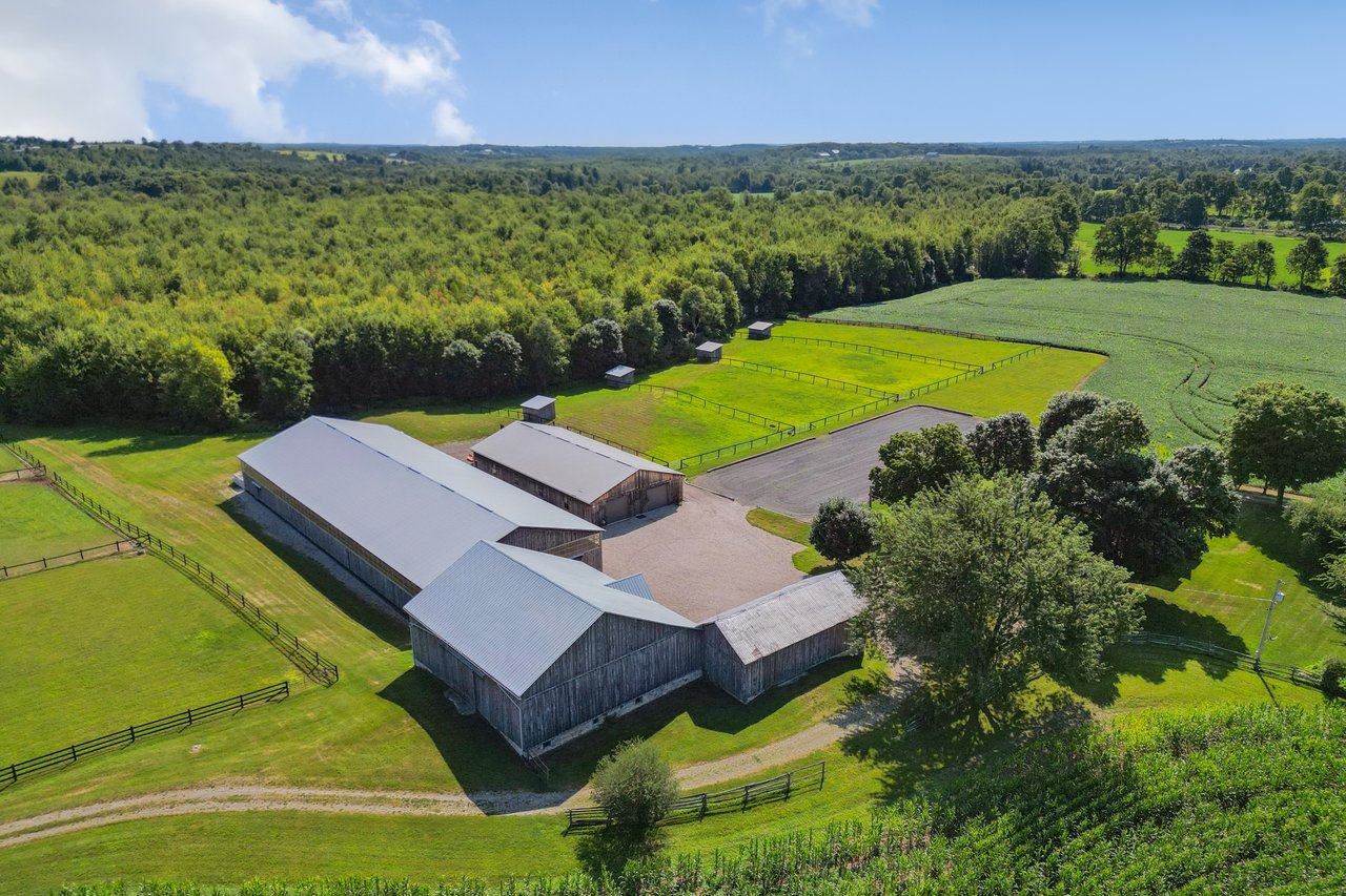 Extraordinary Equestrian Estate