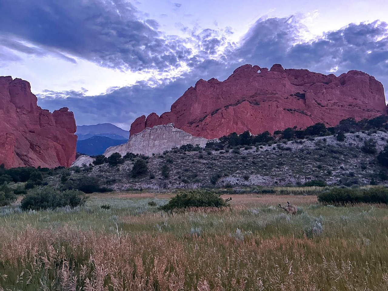 Garden of the Gods: Where Colorado Springs Comes Alive