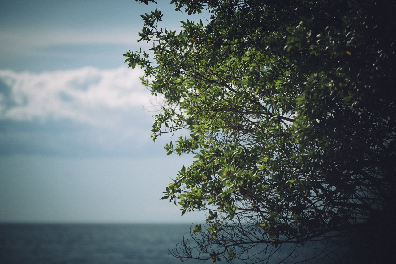  Punta Sabana & Mar Serena