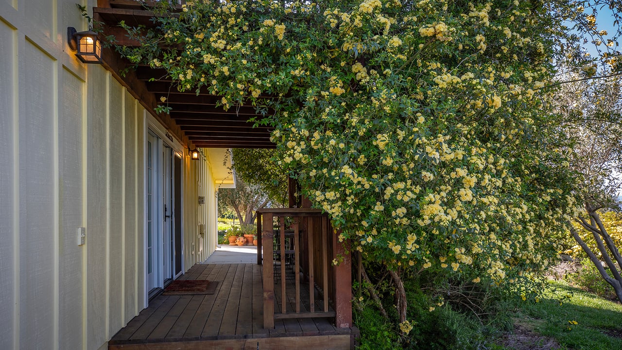 Where Tranquility meets Inspiration