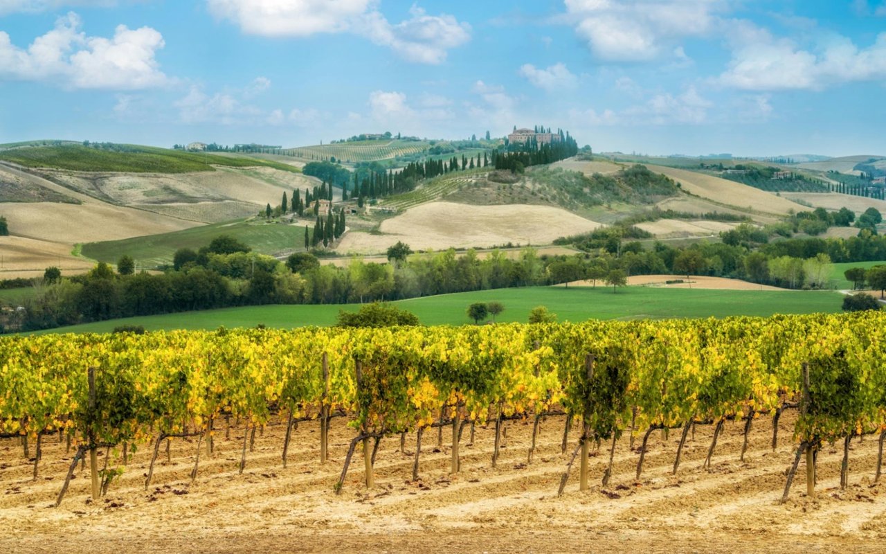 Day Trips From Healdsburg