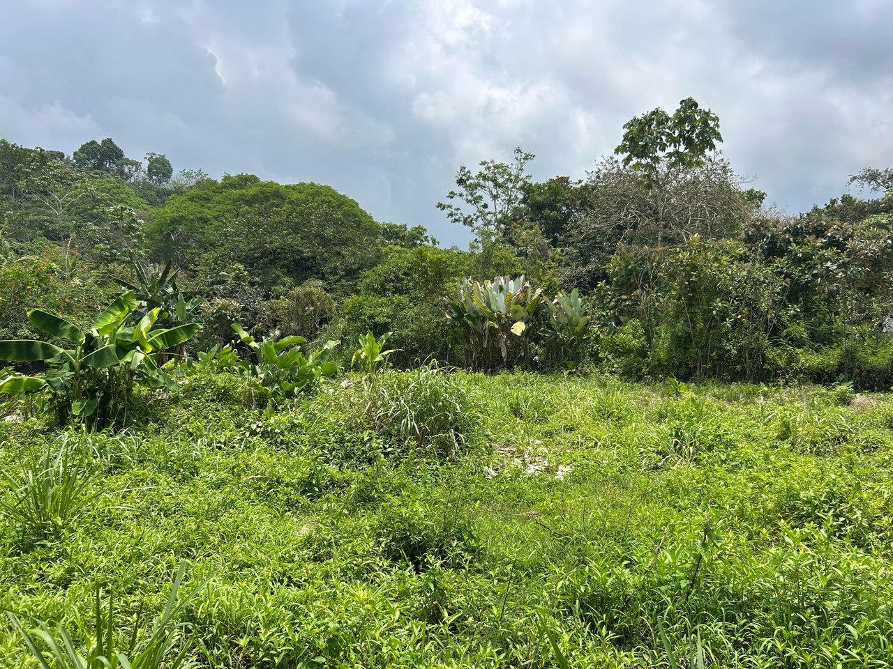 Affordable beach lot in Uvita