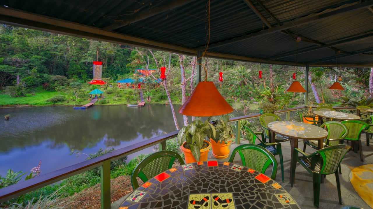 The Lucky Bug | Boutique Hotel & Investment Opportunity in Nuevo Arenal