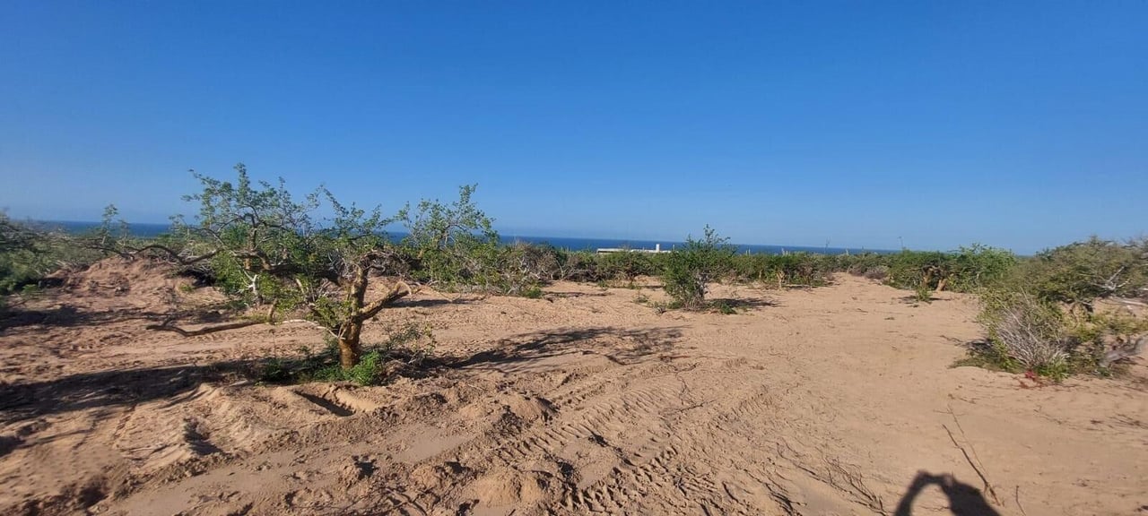 Las Playitas Nature Lot