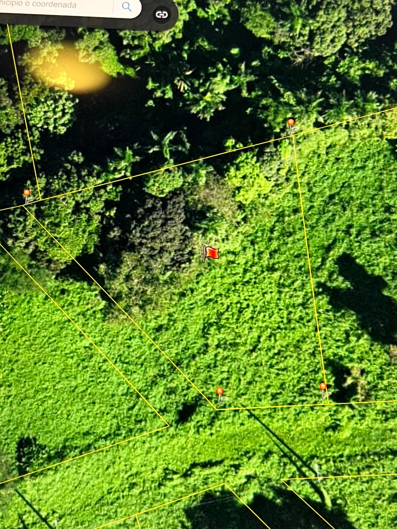 HACIENDA LA CEIBA RIO GRANDE