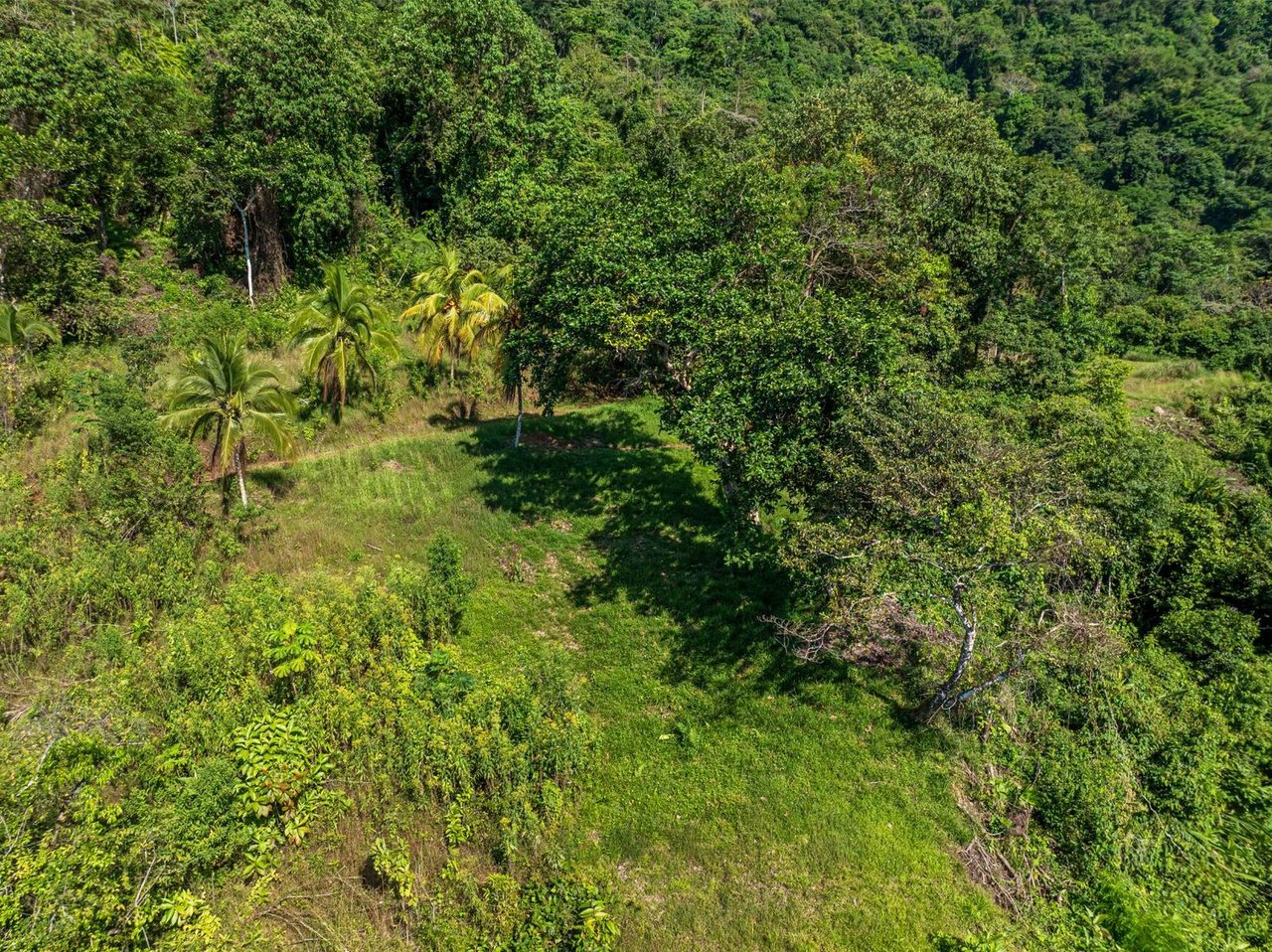 Premier Ocean View Development Land, Manuel Antonio, Puntarenas