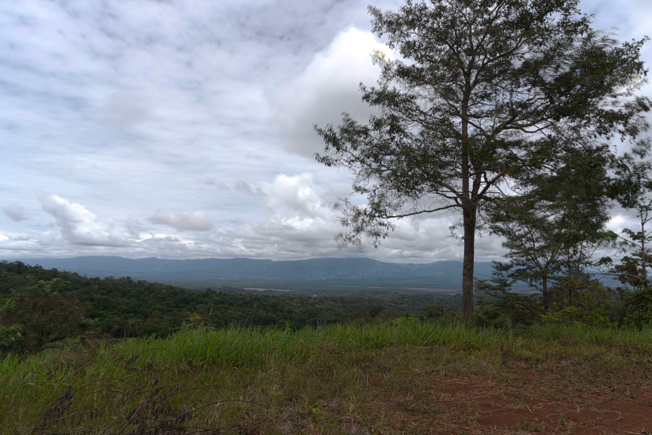 Sierpe Sunset and Jungle Views, 10 Acre Property, OSA!