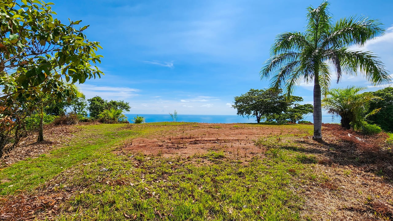 MANGO MANOR RIDGE PREMIER OCEAN VIEW PROPERTY IN DOMINICAL