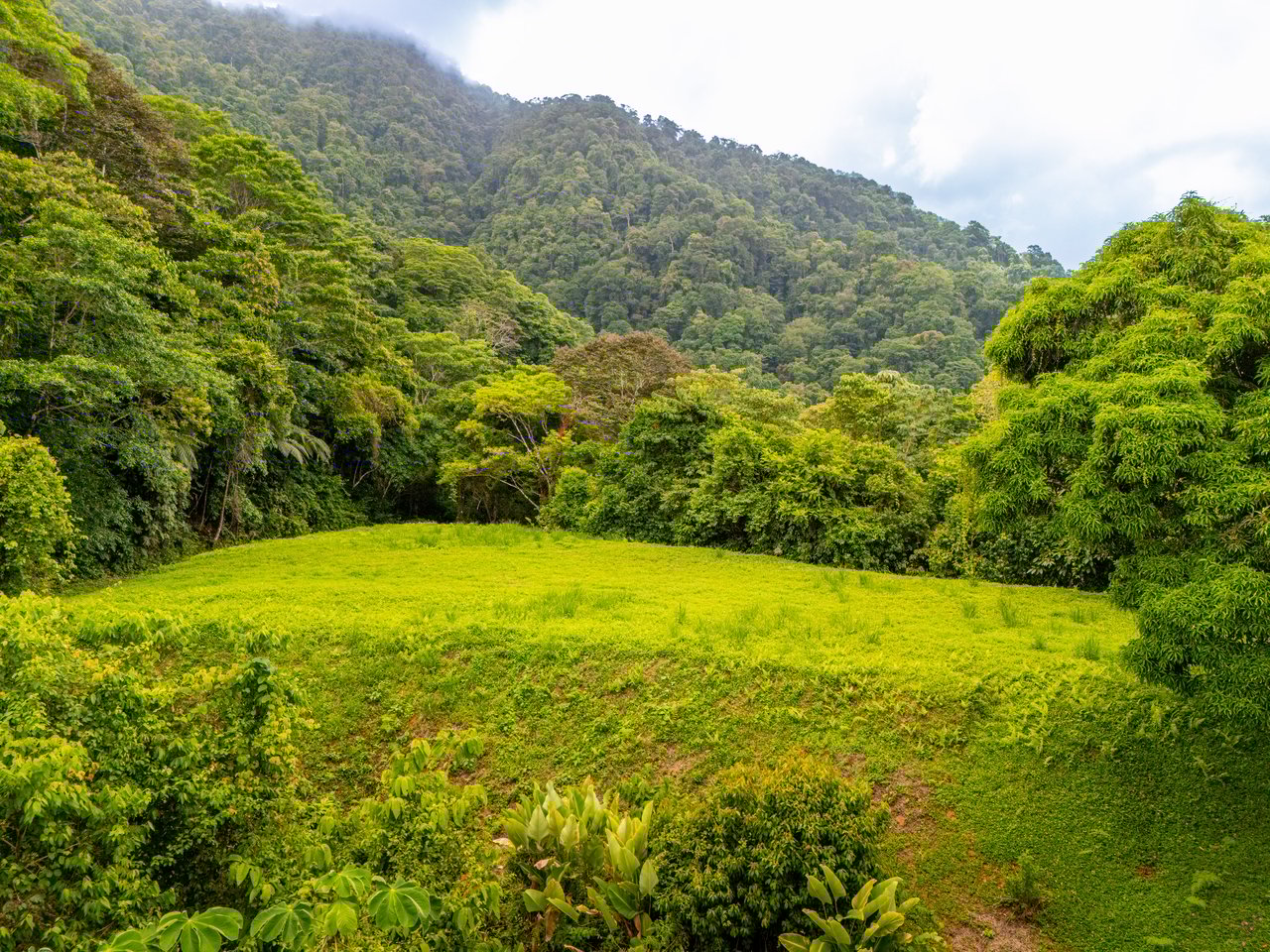 Tropical Paradise in Cascada Sándalo, Tres Ríos Ocean & Mountain Views | Gated Community | Abundant Nature