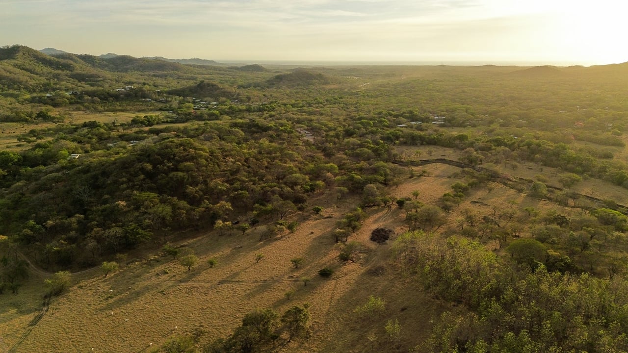 Premier Homesite in a Natural Haven, Tamarindo, Guanacaste
