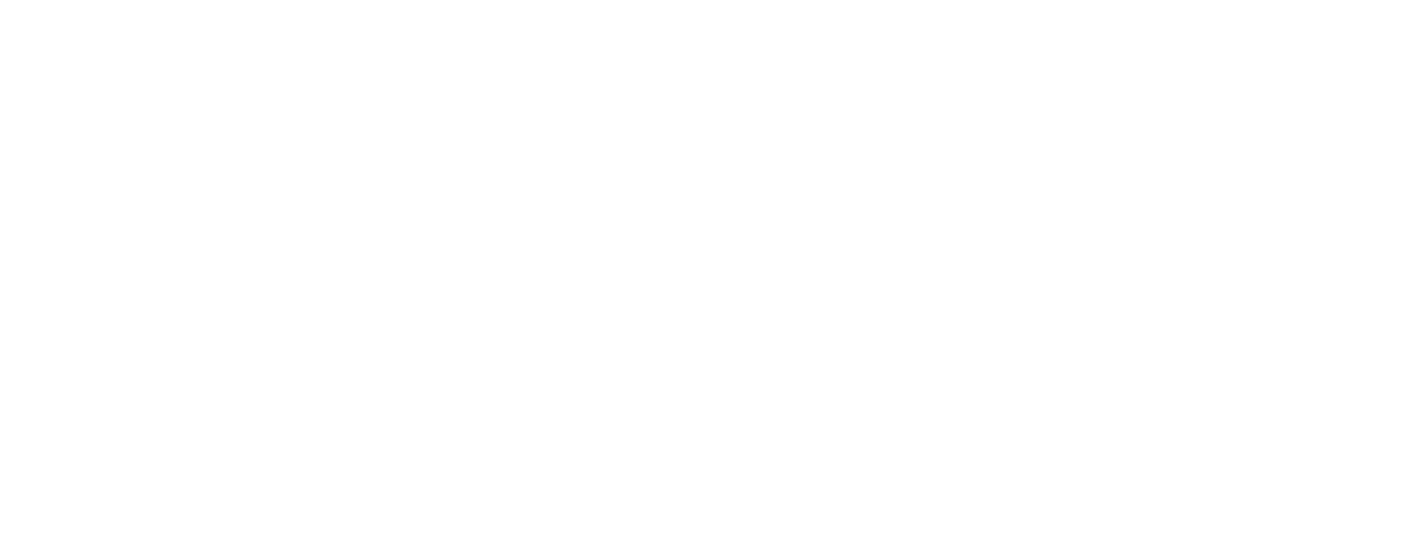 Light Logo
