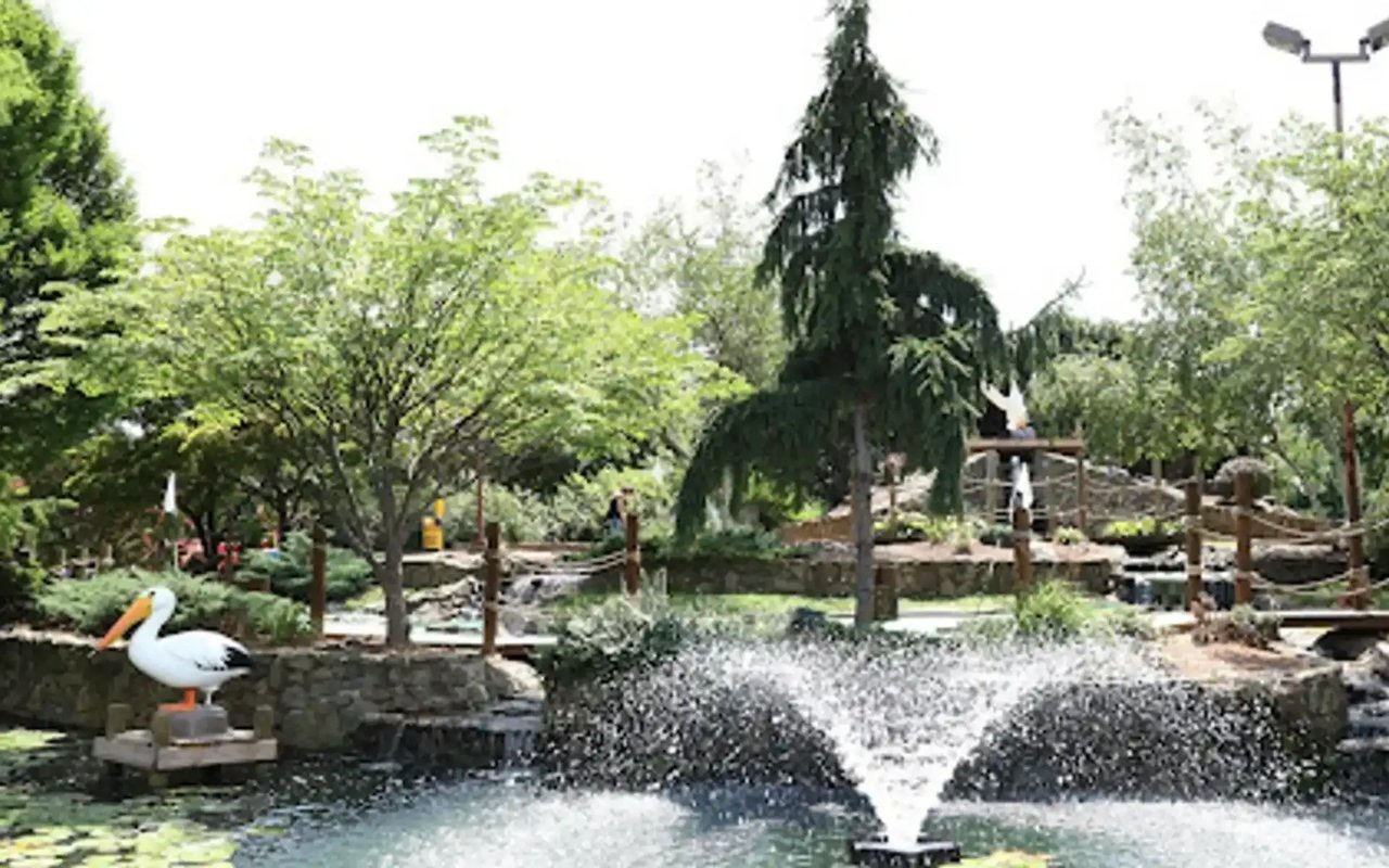 Summer Bliss in Arlington: Splash Into Adventure!