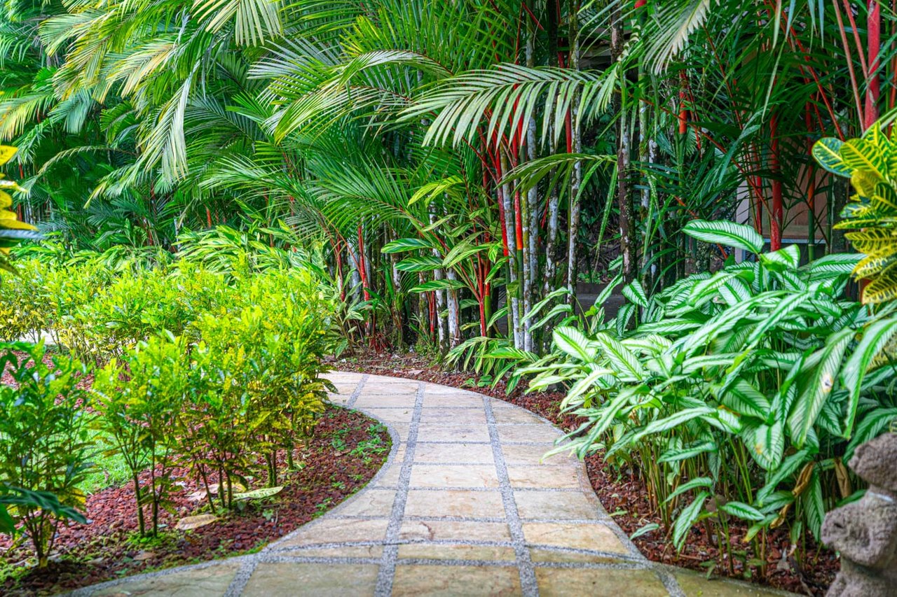 Ocean, jungle & mountain views on a meticulously landscaped 3-home family compound