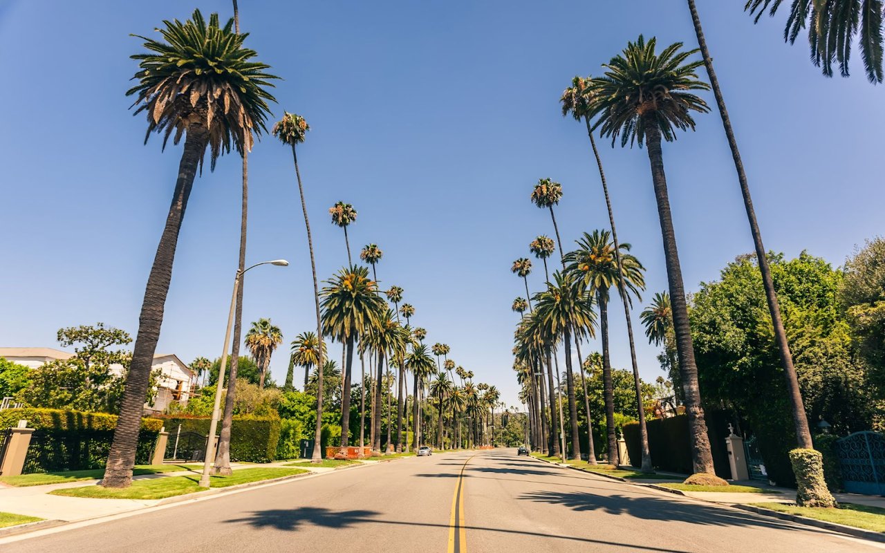  A wide-angle view of a long, straight road lined on both sides by very tall palm trees, reaching high into a clear blue sky.