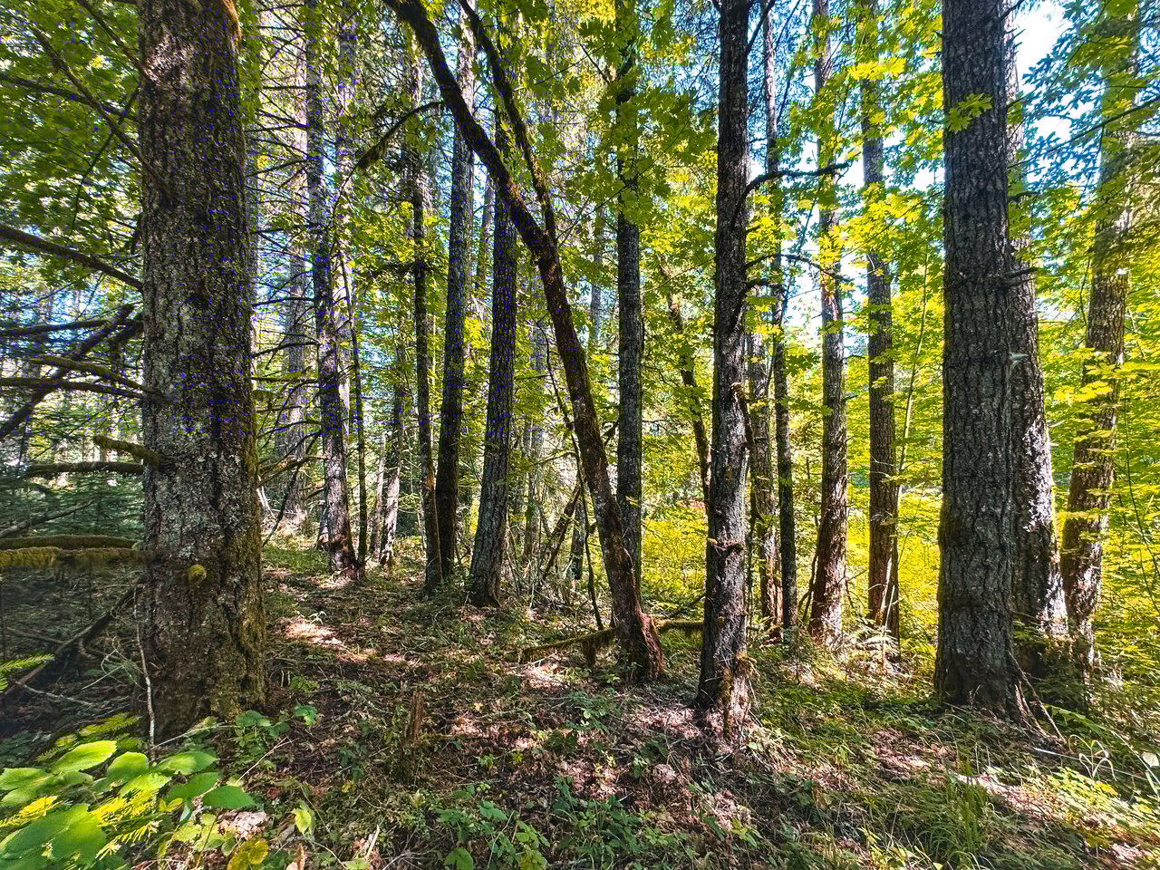 London Grove Riverfront