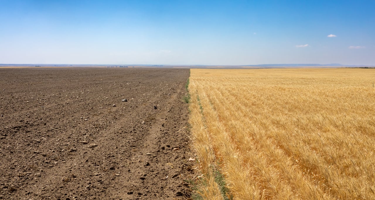Hill County Organic & CRP Farm