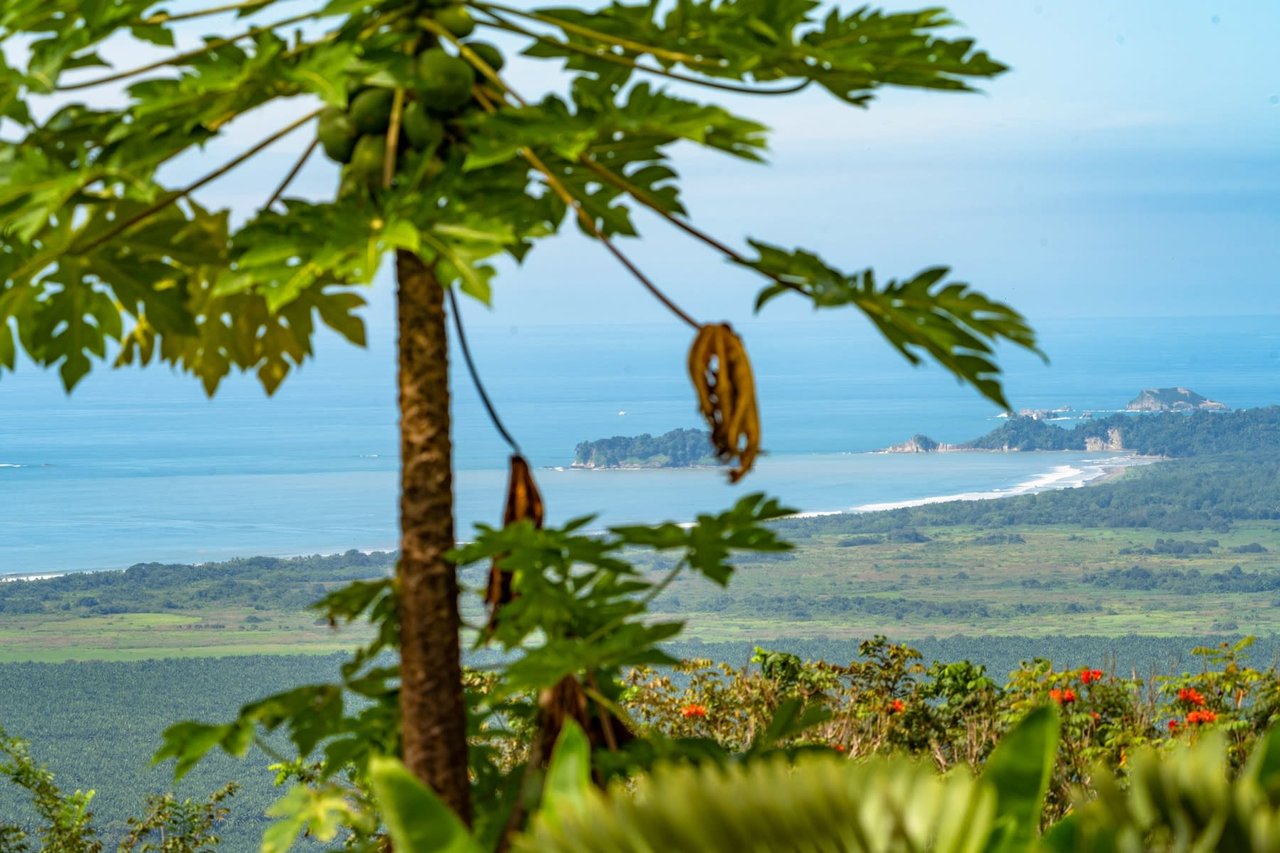 Casa Infinity, Tranquility Ocean View and Privacy 