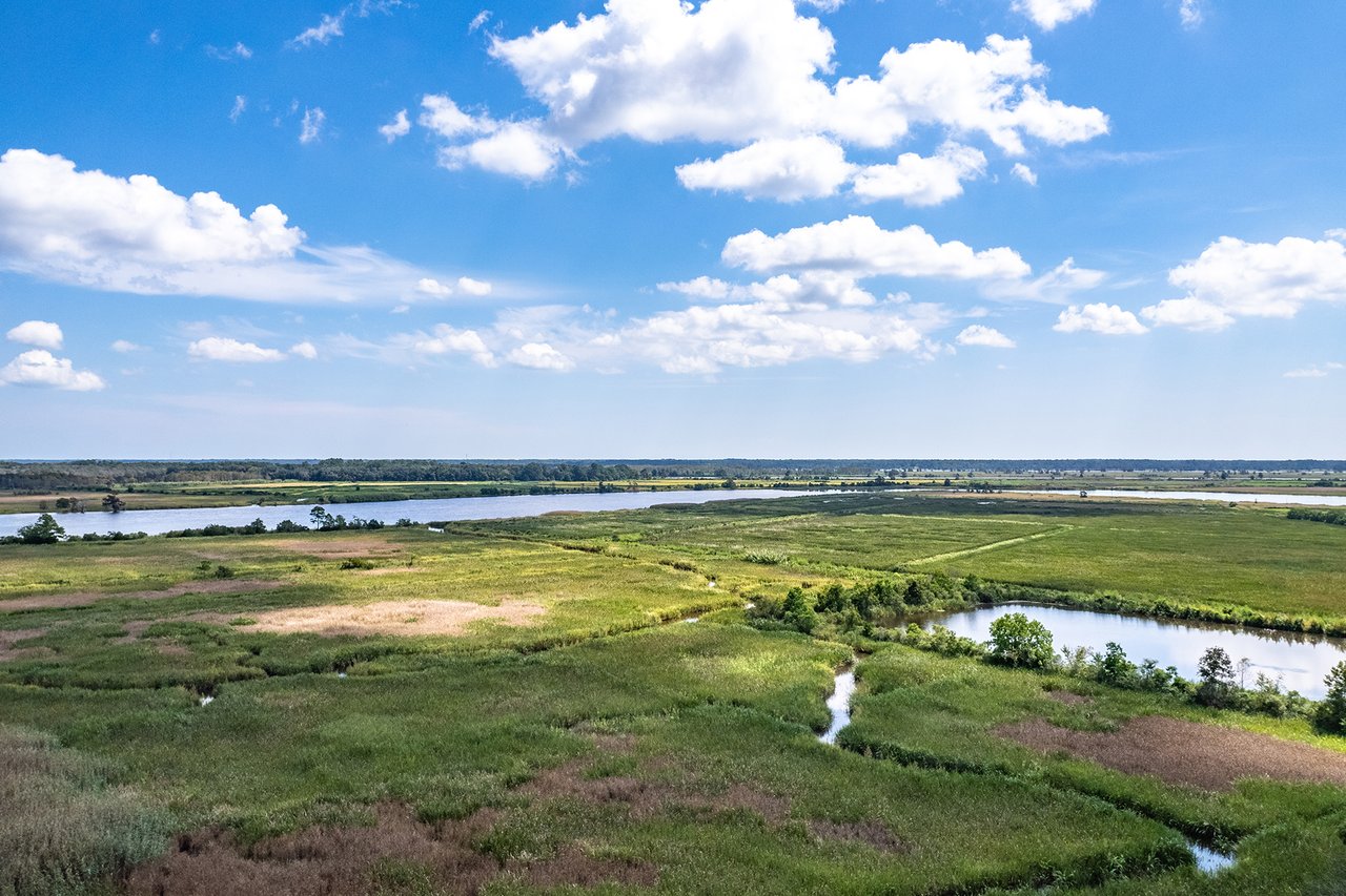 Wedgefield Plantation