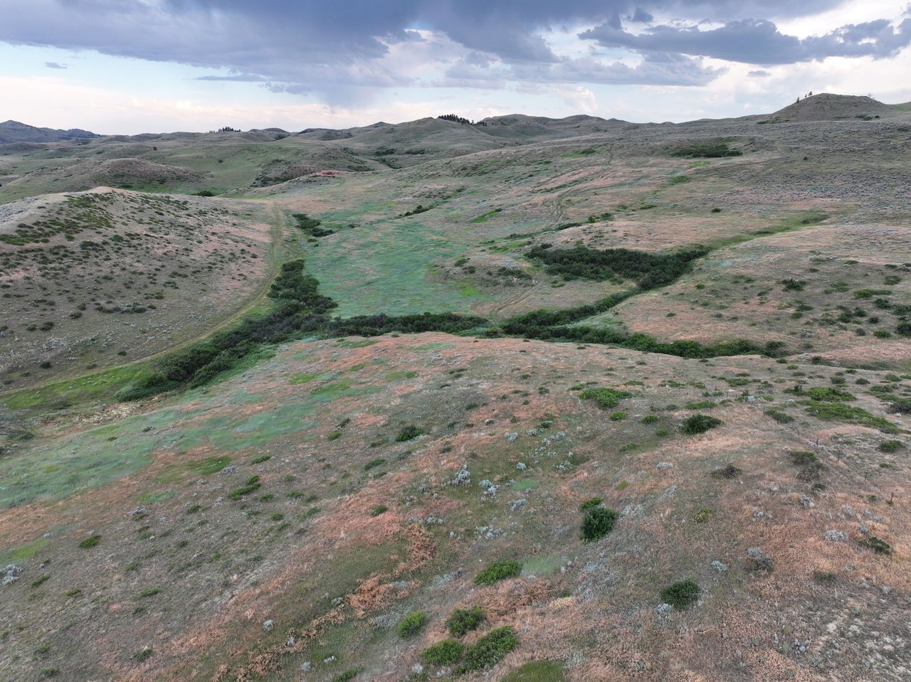 Dutch Creek Ranch 