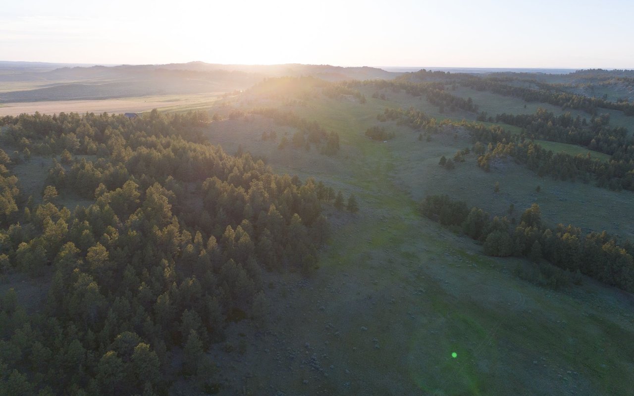Elk Rich Ranch
