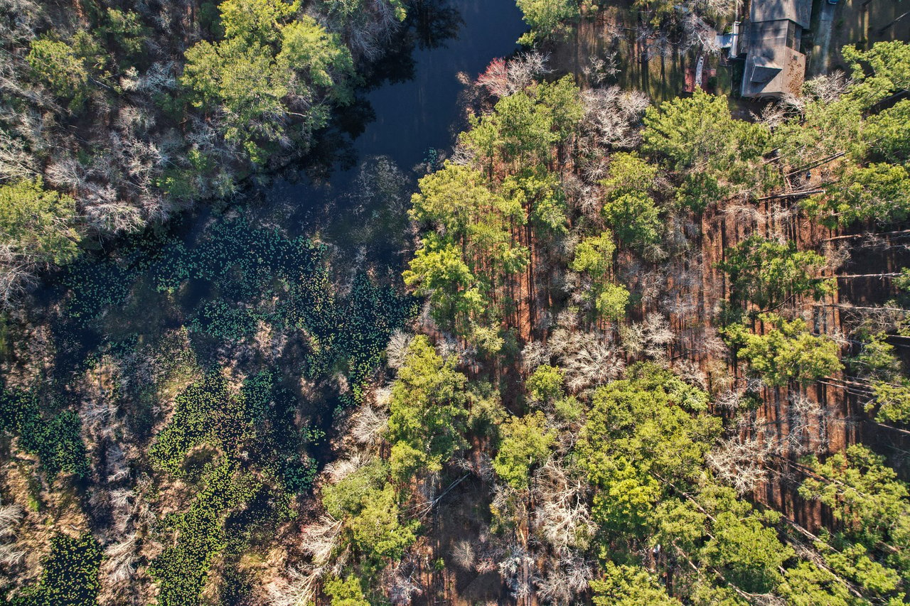 Aerial view of a dense forest with green trees and a dark river cutting through, creating a natural divide. A house is visible on the top right.Aerial view of a dense forest with green trees and a dark river cutting through, creating a natural divide. A house is visible on the top right.