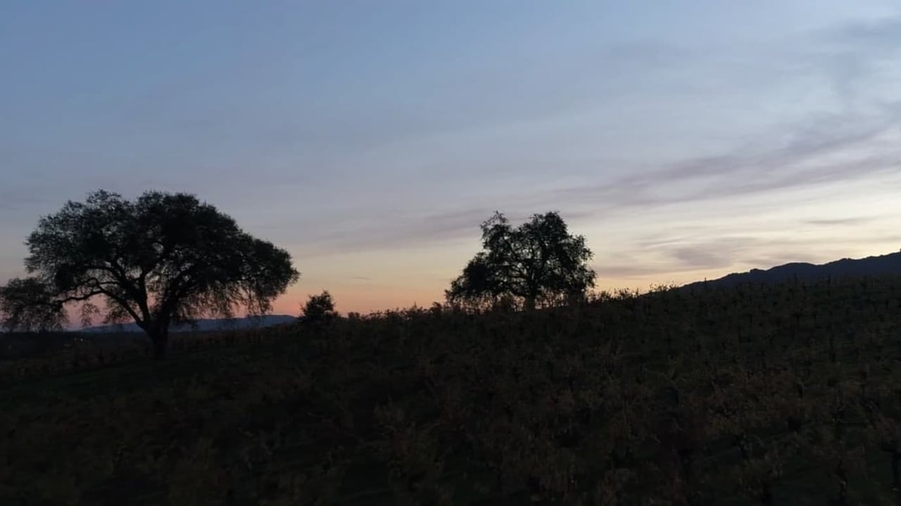 Visit Healdsburg (Sotheby Project)