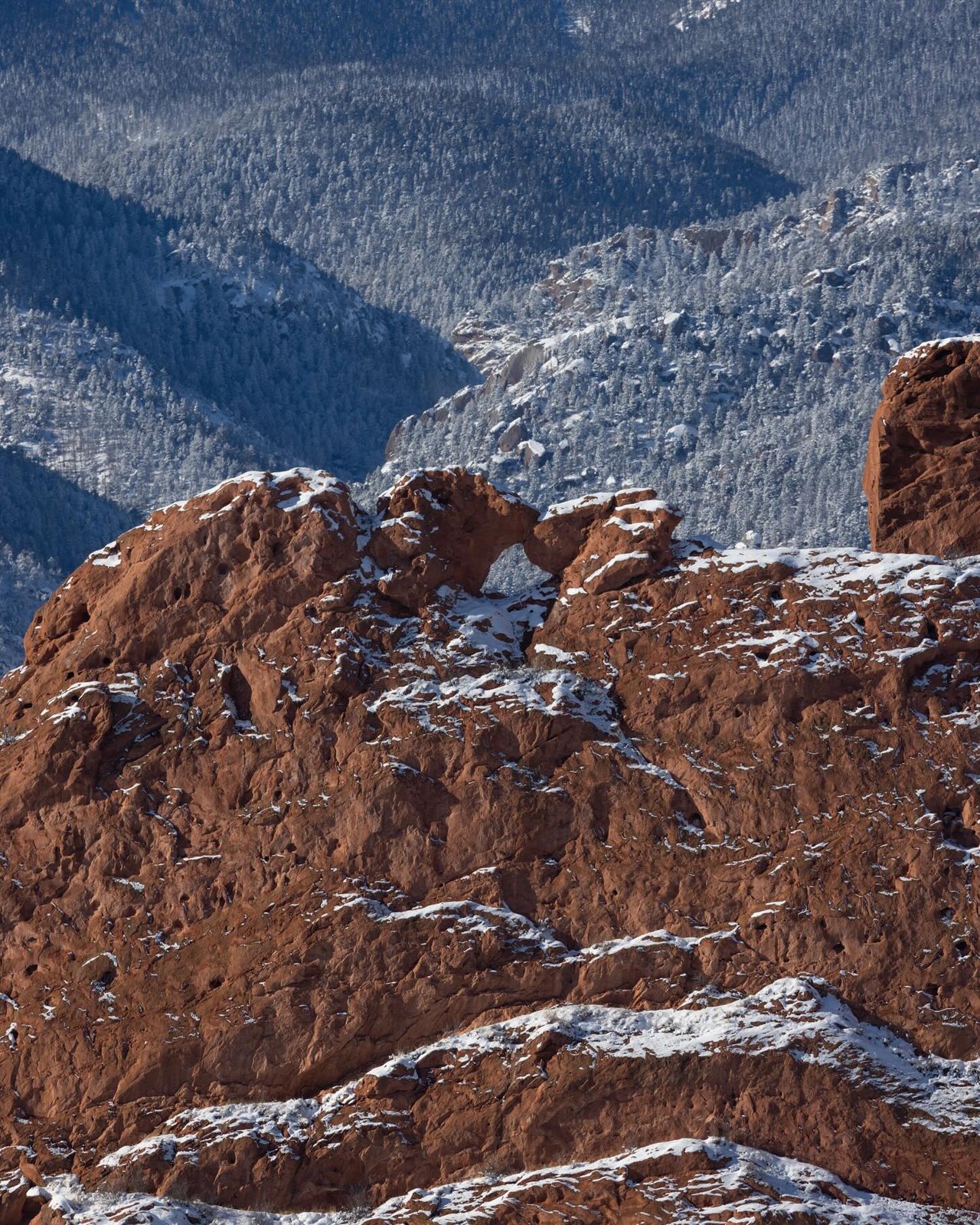 Garden of the Gods: Where Colorado Springs Comes Alive