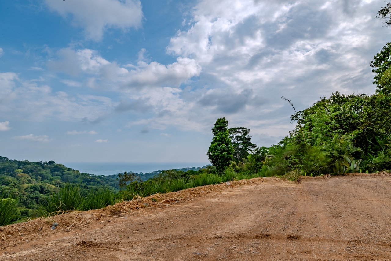 Stunning Oceanview Lot in the sought-after Uvita Hills Community