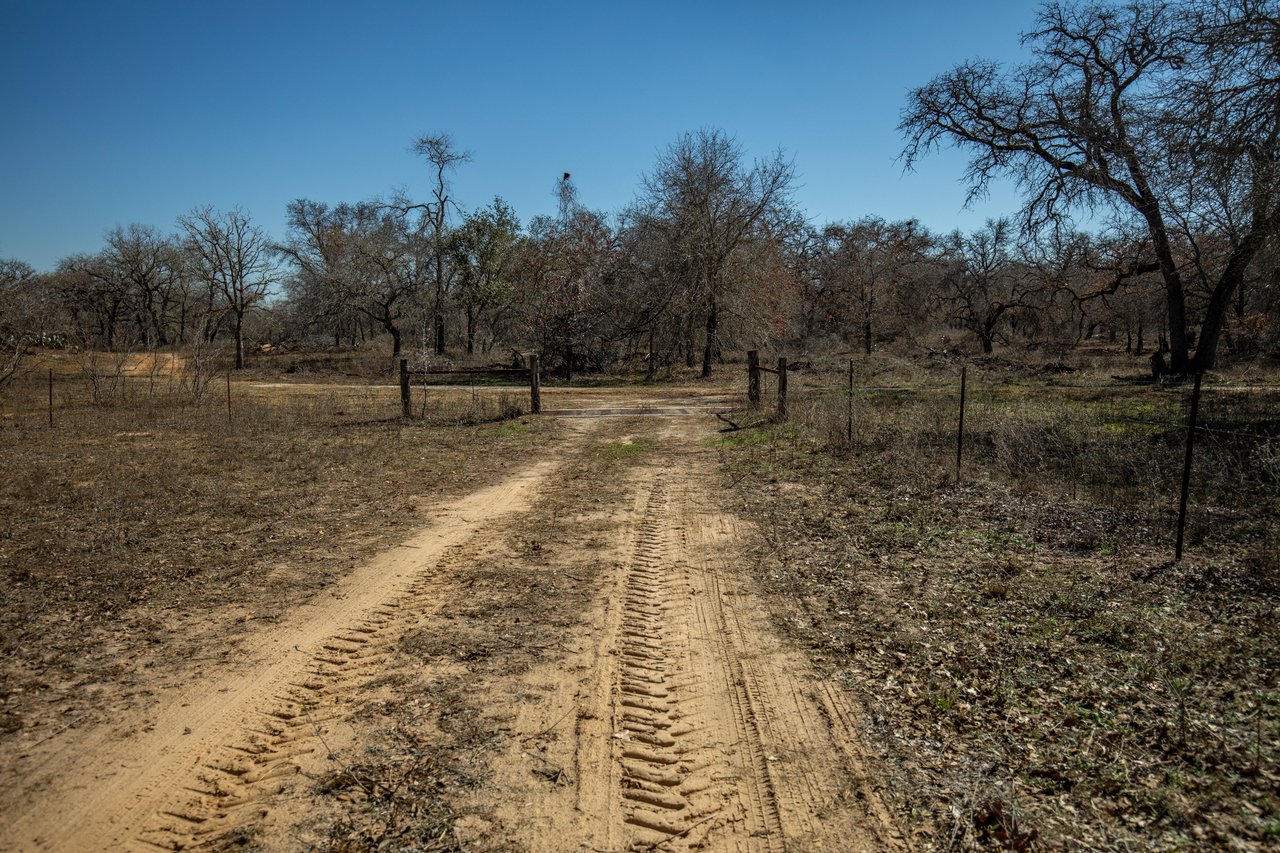 Whispering Pines Floresville Ranch | 298± Acres | Wilson County